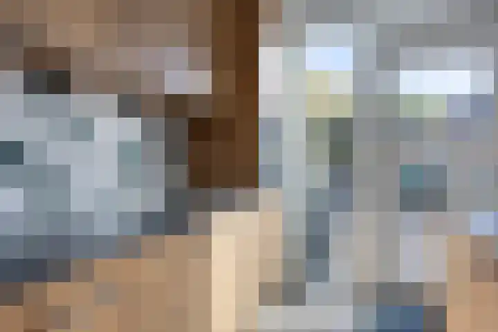 Grasgors 3 Mijnsheerenland thumbnail 11
