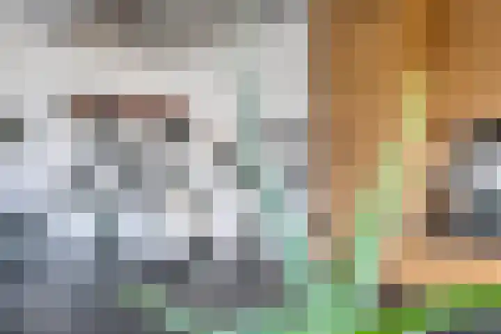 Grasgors 3 Mijnsheerenland thumbnail 12
