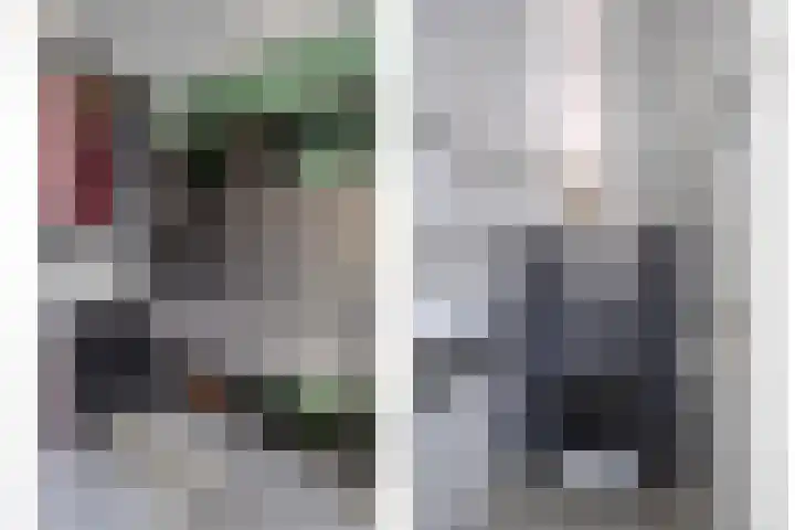 Grasgors 3 Mijnsheerenland thumbnail 13