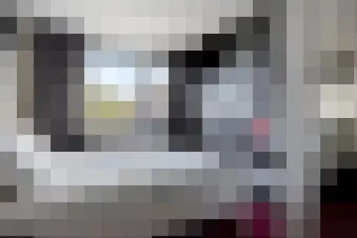 Grasgors 3 Mijnsheerenland thumbnail 15