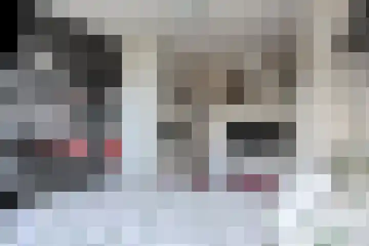Grasgors 3 Mijnsheerenland thumbnail 16