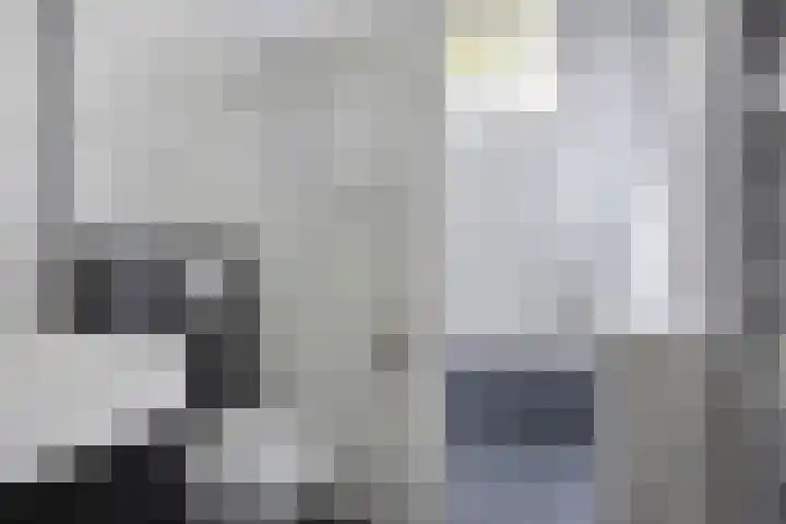 Grasgors 3 Mijnsheerenland thumbnail 17