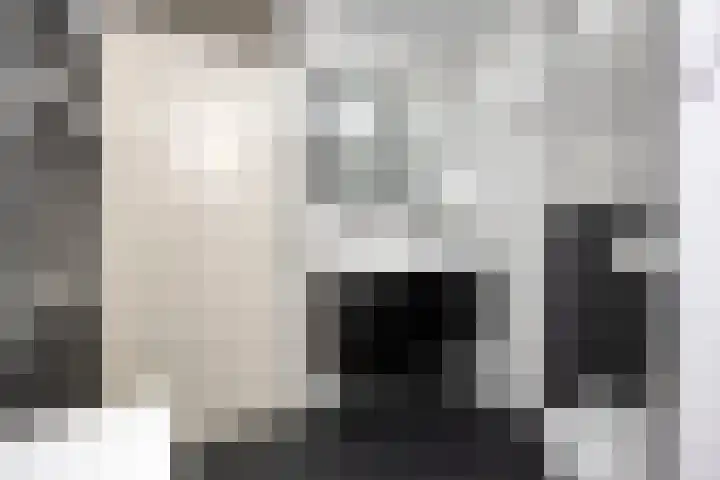 Grasgors 3 Mijnsheerenland thumbnail 18