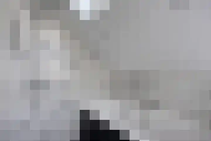Grasgors 3 Mijnsheerenland thumbnail 19
