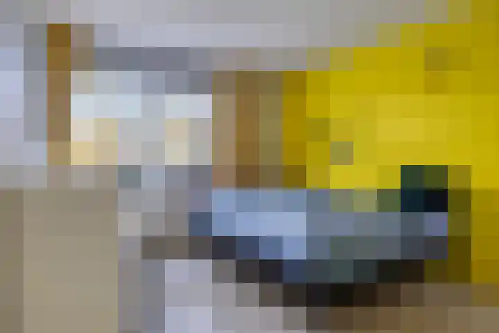 Grasgors 3 Mijnsheerenland thumbnail 20