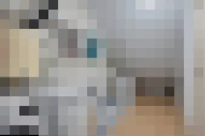Grasgors 3 Mijnsheerenland thumbnail 24