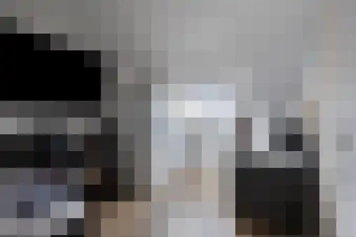 Grasgors 3 Mijnsheerenland thumbnail 25