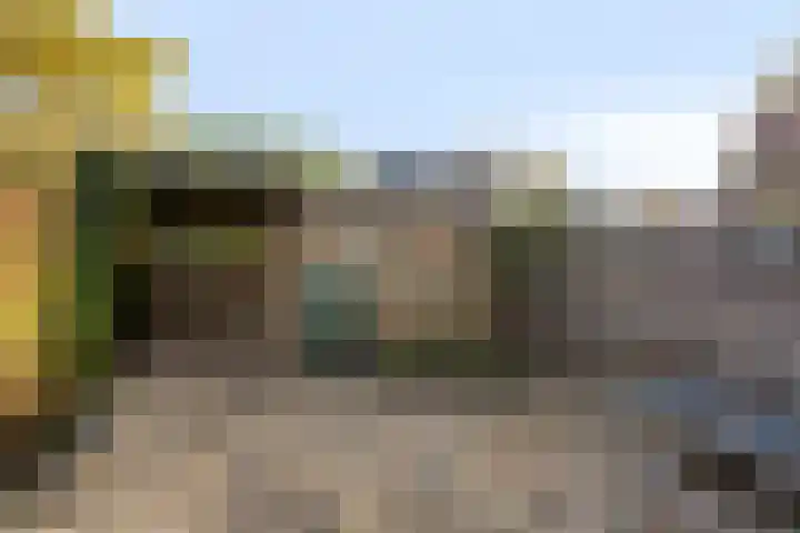 Grasgors 3 Mijnsheerenland thumbnail 27