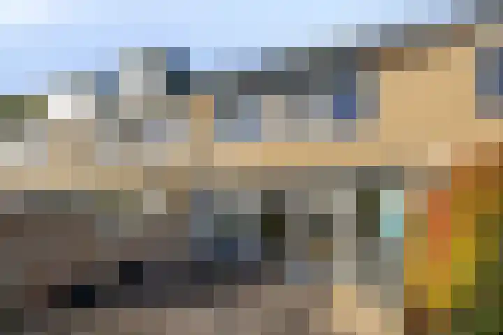 Grasgors 3 Mijnsheerenland thumbnail 28