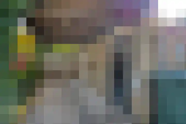 Grasgors 3 Mijnsheerenland thumbnail 29