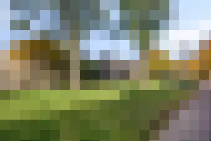 Grasgors 3 Mijnsheerenland thumbnail 30