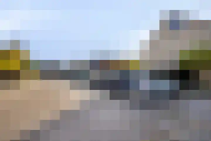 Grasgors 3 Mijnsheerenland thumbnail 31