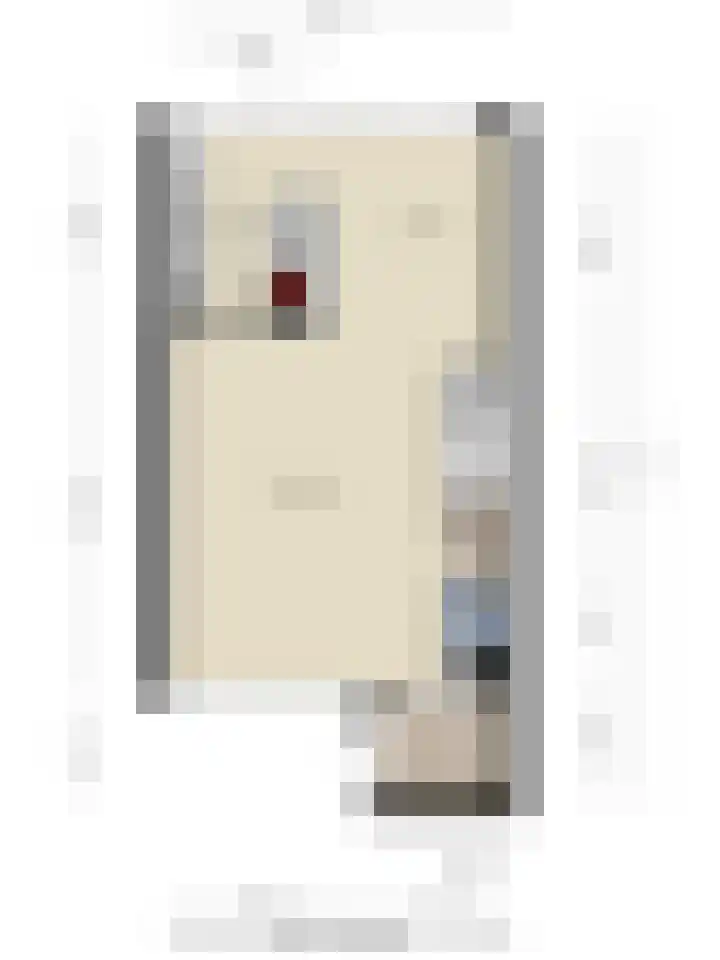 Grasgors 3 Mijnsheerenland thumbnail 32
