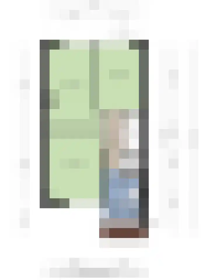 Grasgors 3 Mijnsheerenland thumbnail 33