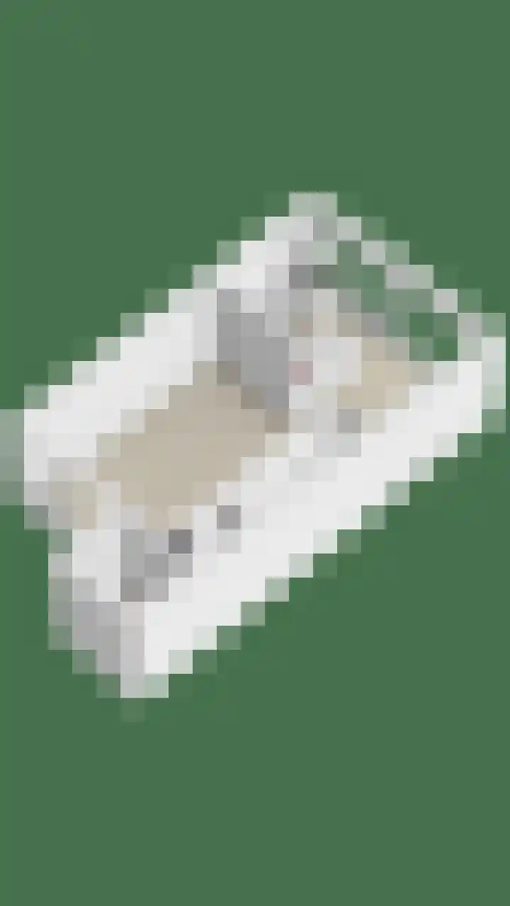 Grasgors 3 Mijnsheerenland thumbnail 36