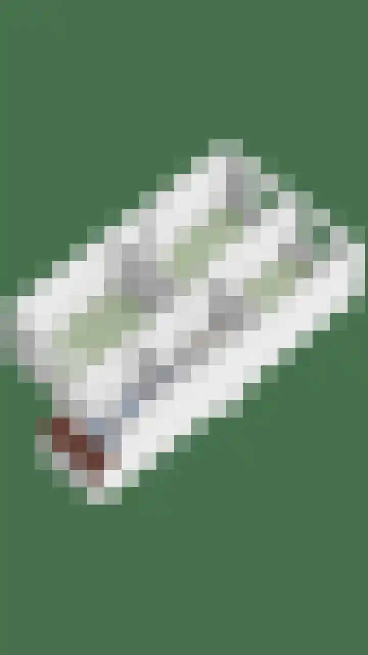 Grasgors 3 Mijnsheerenland thumbnail 37