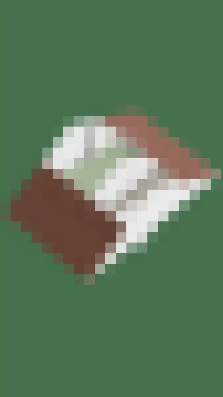 Grasgors 3 Mijnsheerenland thumbnail 38