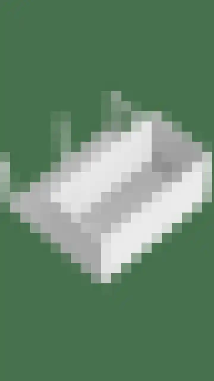 Grasgors 3 Mijnsheerenland thumbnail 39