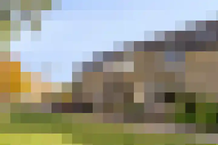 Grasgors 3 Mijnsheerenland thumbnail 5