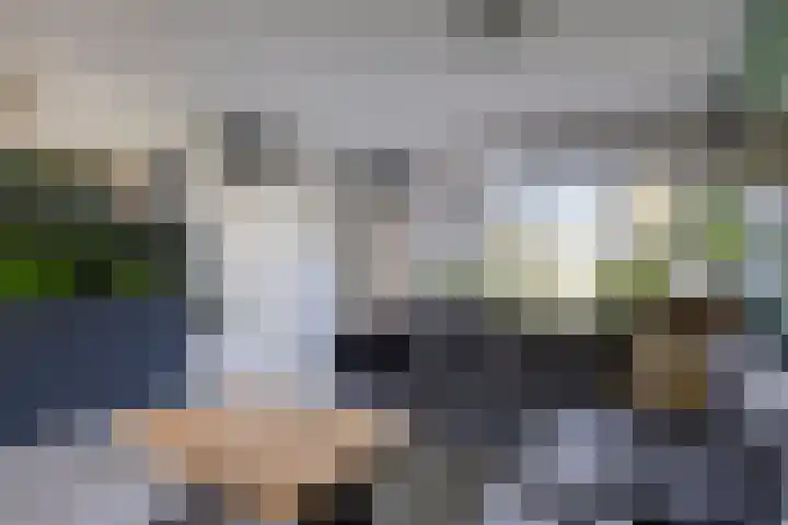 Grasgors 3 Mijnsheerenland thumbnail 6
