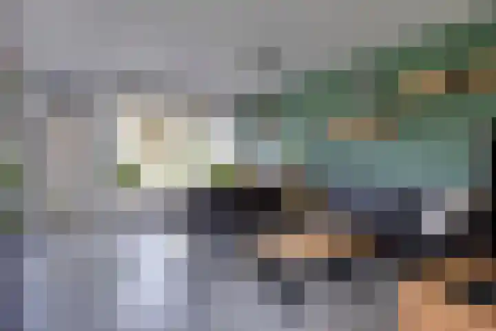 Grasgors 3 Mijnsheerenland thumbnail 7