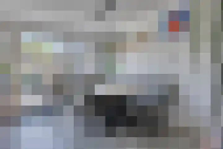 Grasgors 3 Mijnsheerenland thumbnail 8