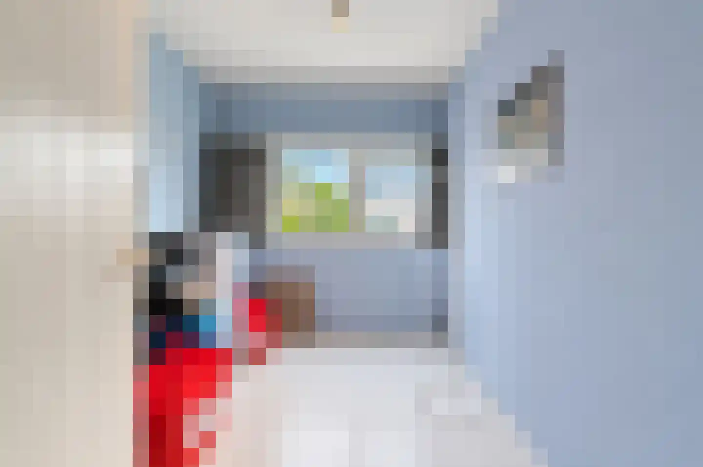 Grasgroen 17 Zoetermeer thumbnail 24