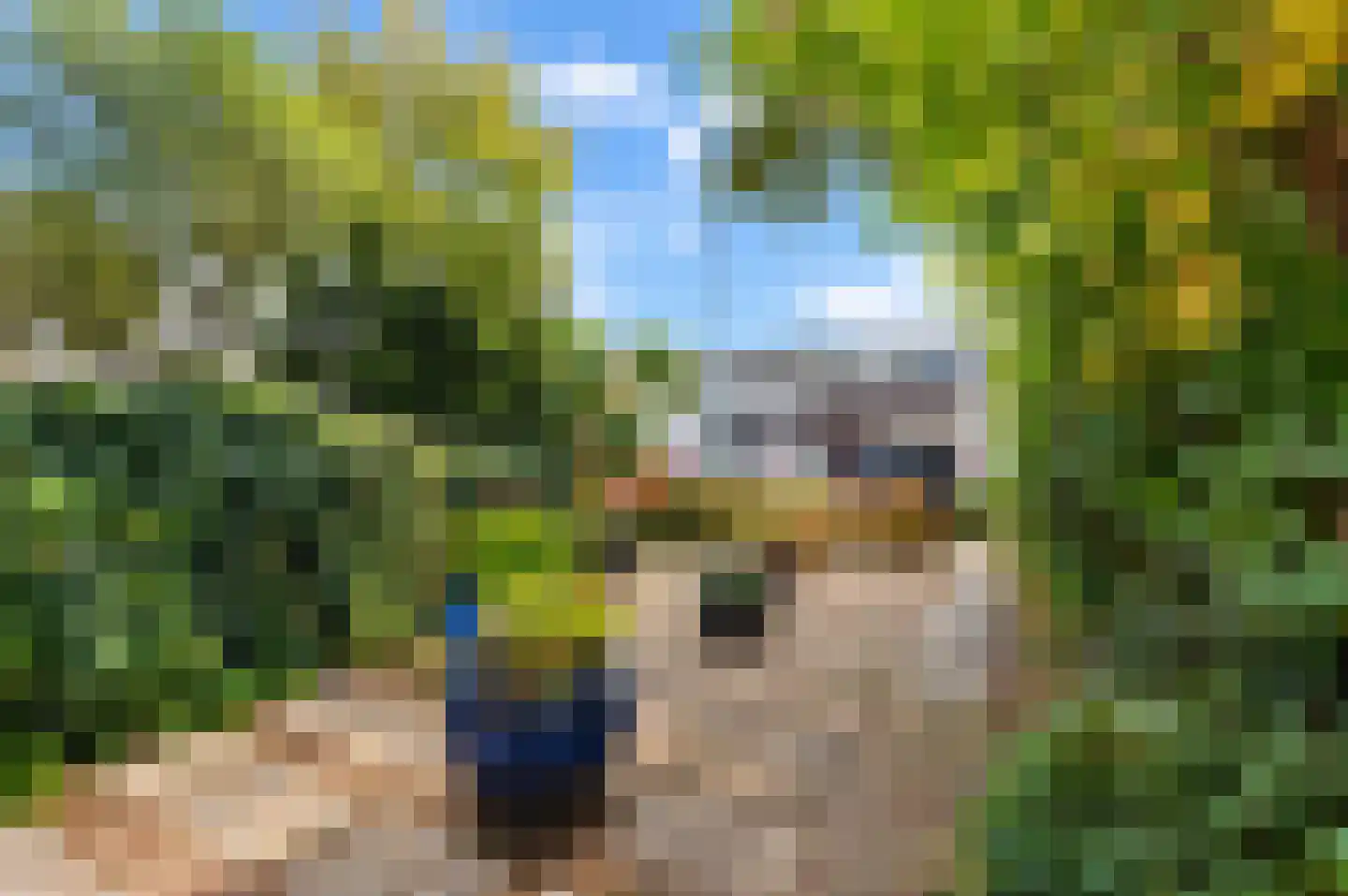 Grasgroen 17 Zoetermeer thumbnail 33