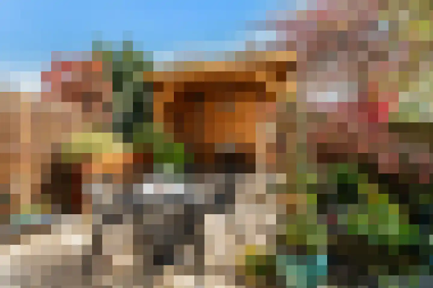 Grasgroen 66 Zoetermeer thumbnail 18