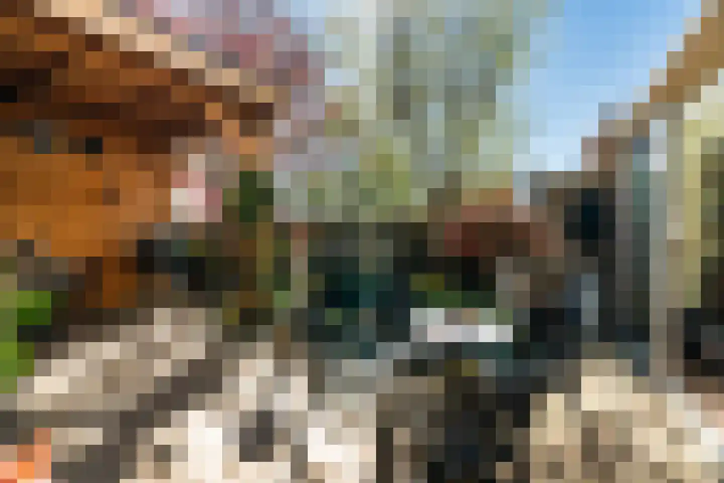 Grasgroen 66 Zoetermeer thumbnail 19