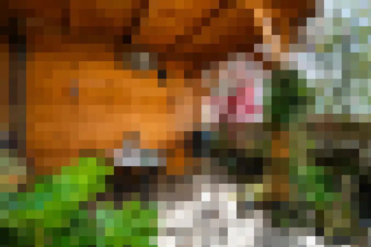 Grasgroen 66 Zoetermeer thumbnail 20
