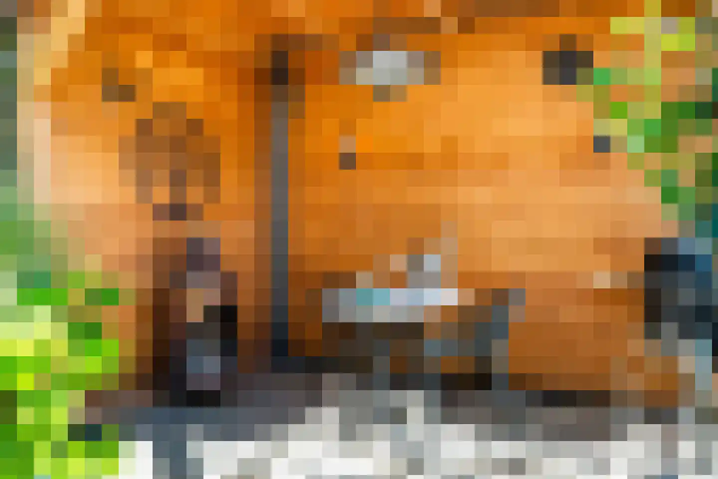 Grasgroen 66 Zoetermeer thumbnail 21