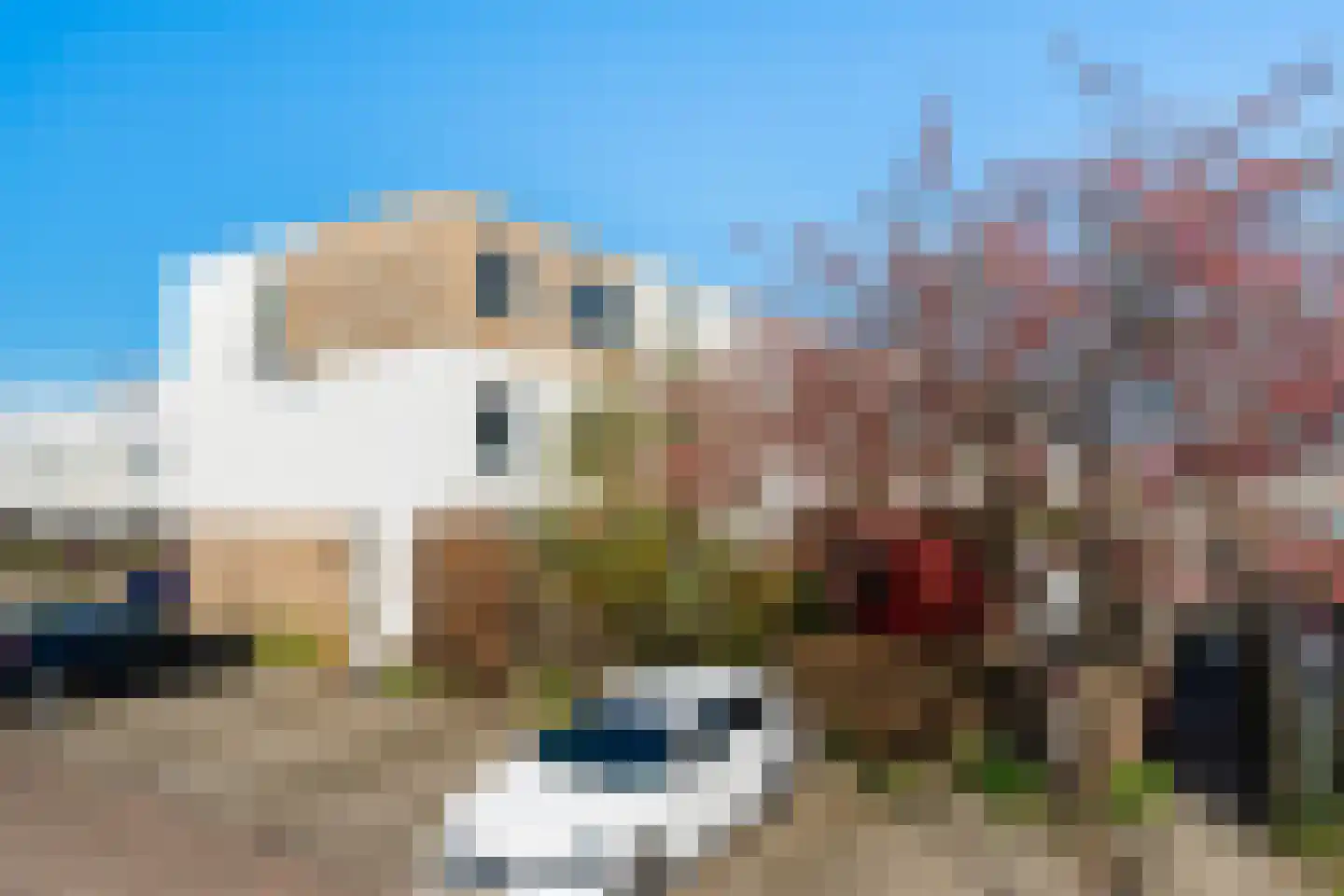 Grasgroen 66 Zoetermeer thumbnail 5
