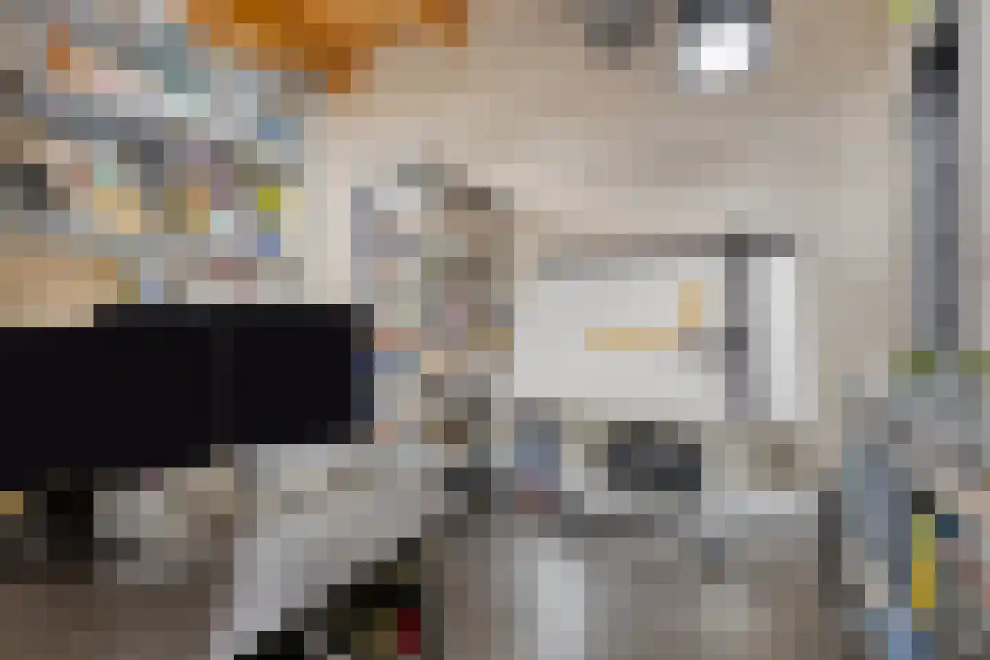 Grashegge 2 Eindhoven thumbnail 18