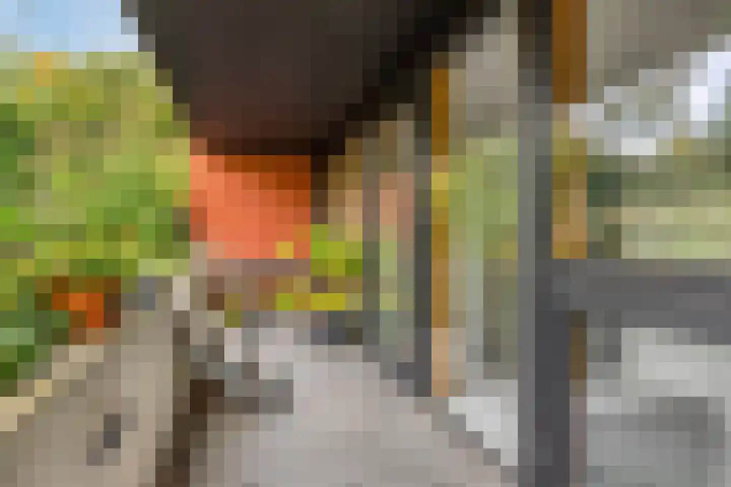 Grashegge 2 Eindhoven thumbnail 31