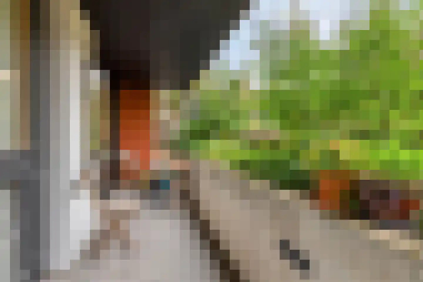 Grashegge 2 Eindhoven thumbnail 32