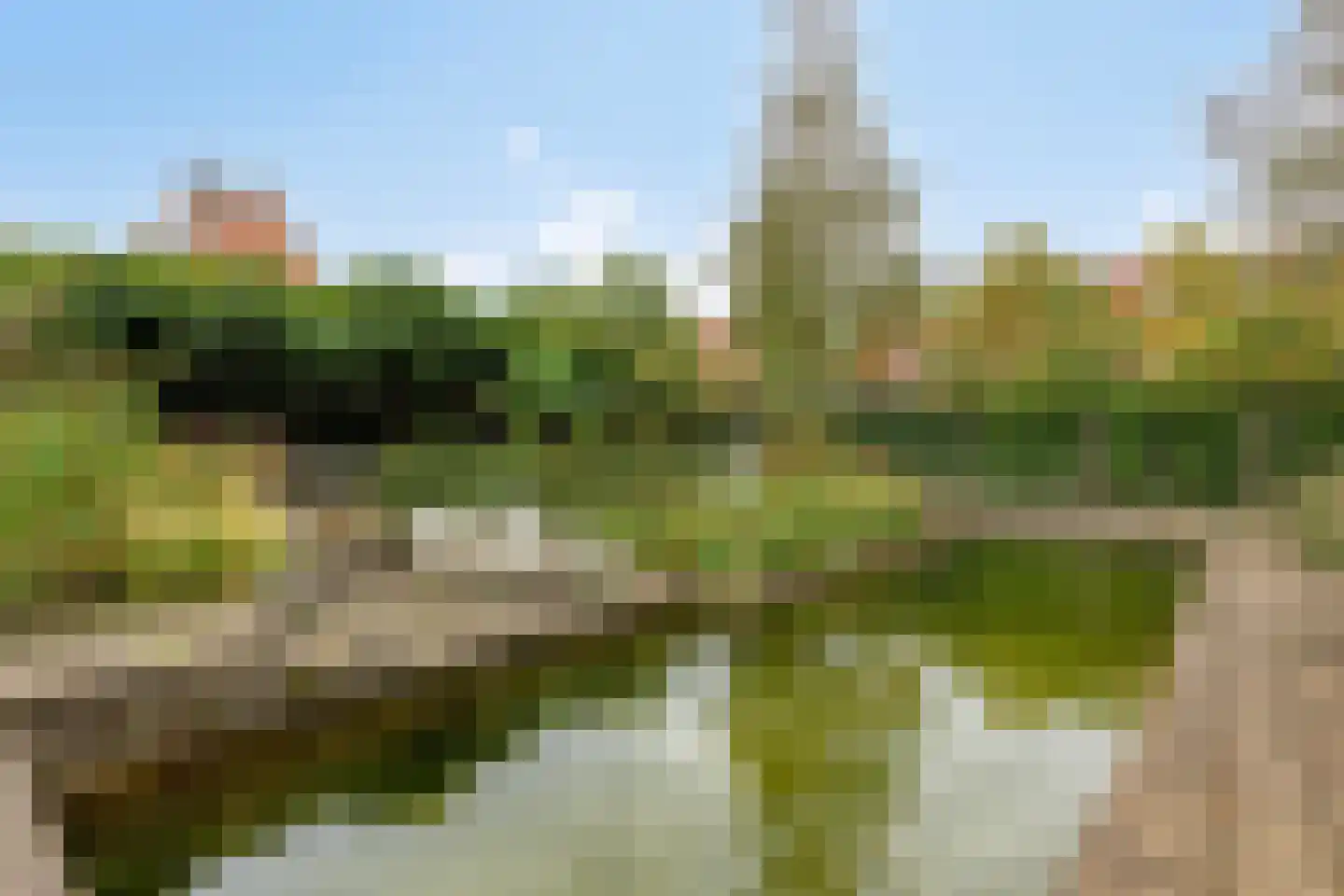 Grashegge 2 Eindhoven thumbnail 33
