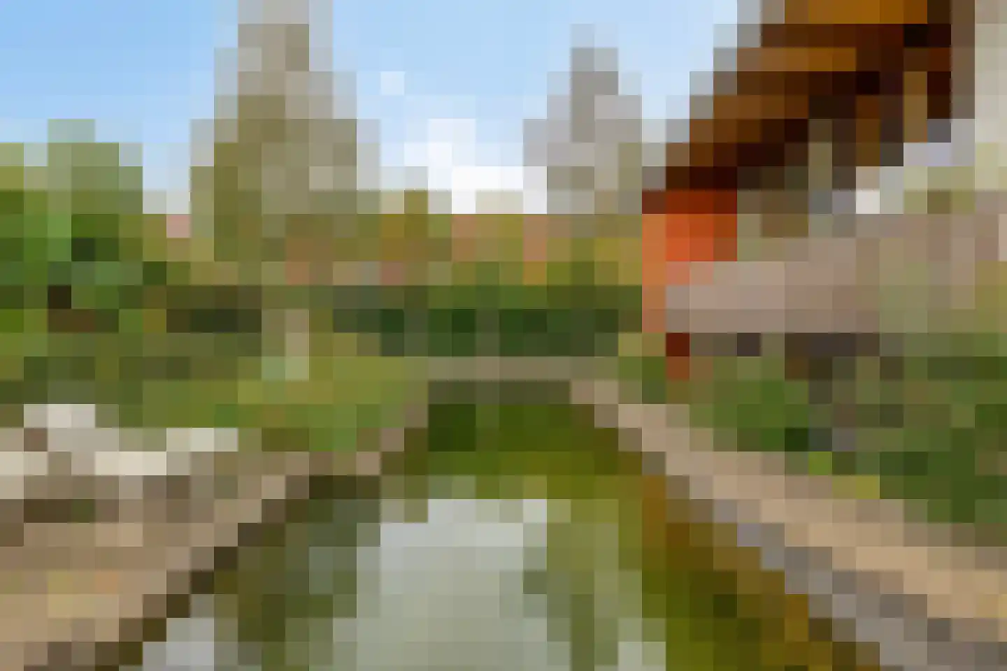 Grashegge 2 Eindhoven thumbnail 34