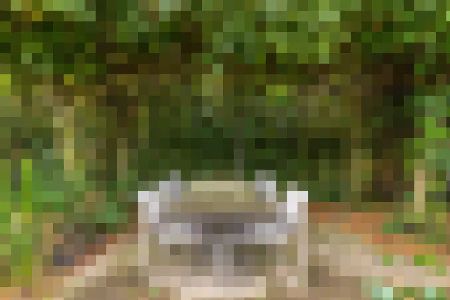 Grashegge 2 Eindhoven thumbnail 36