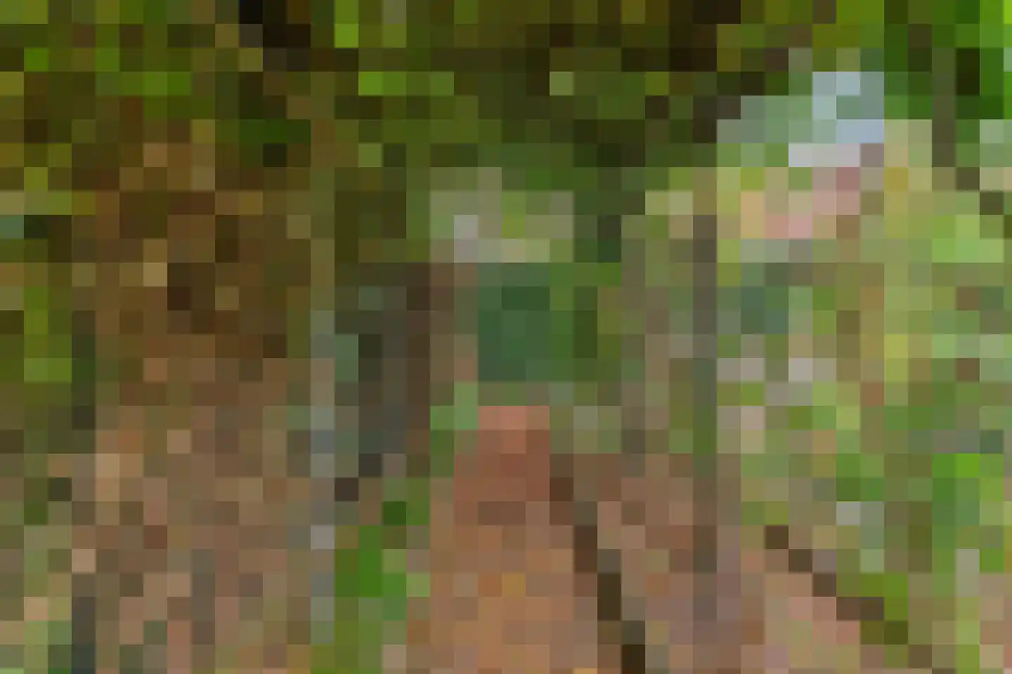 Grashegge 2 Eindhoven thumbnail 37