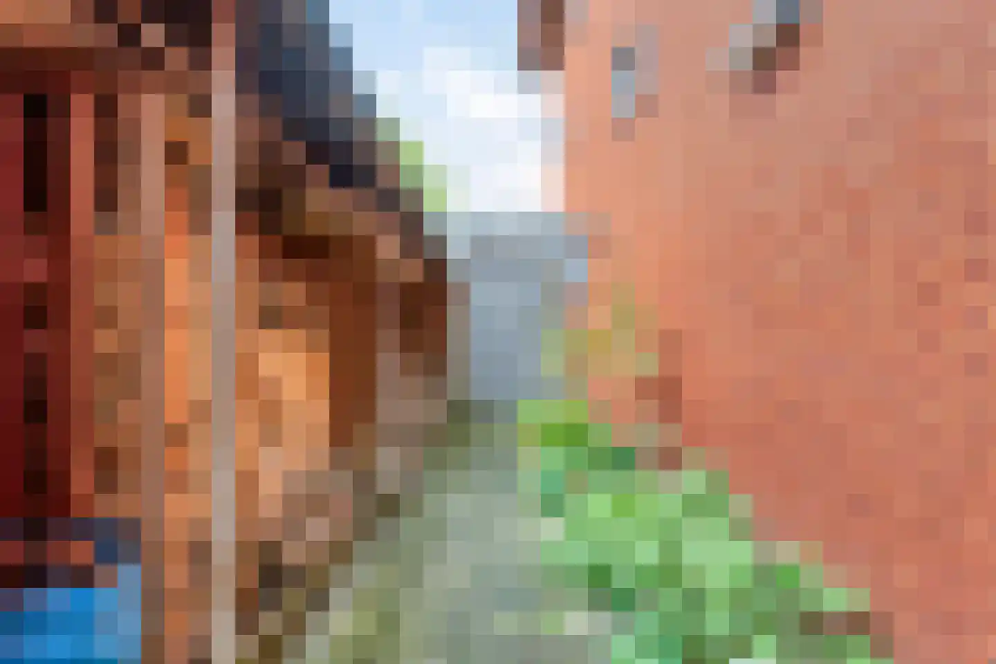 Grashegge 2 Eindhoven thumbnail 38