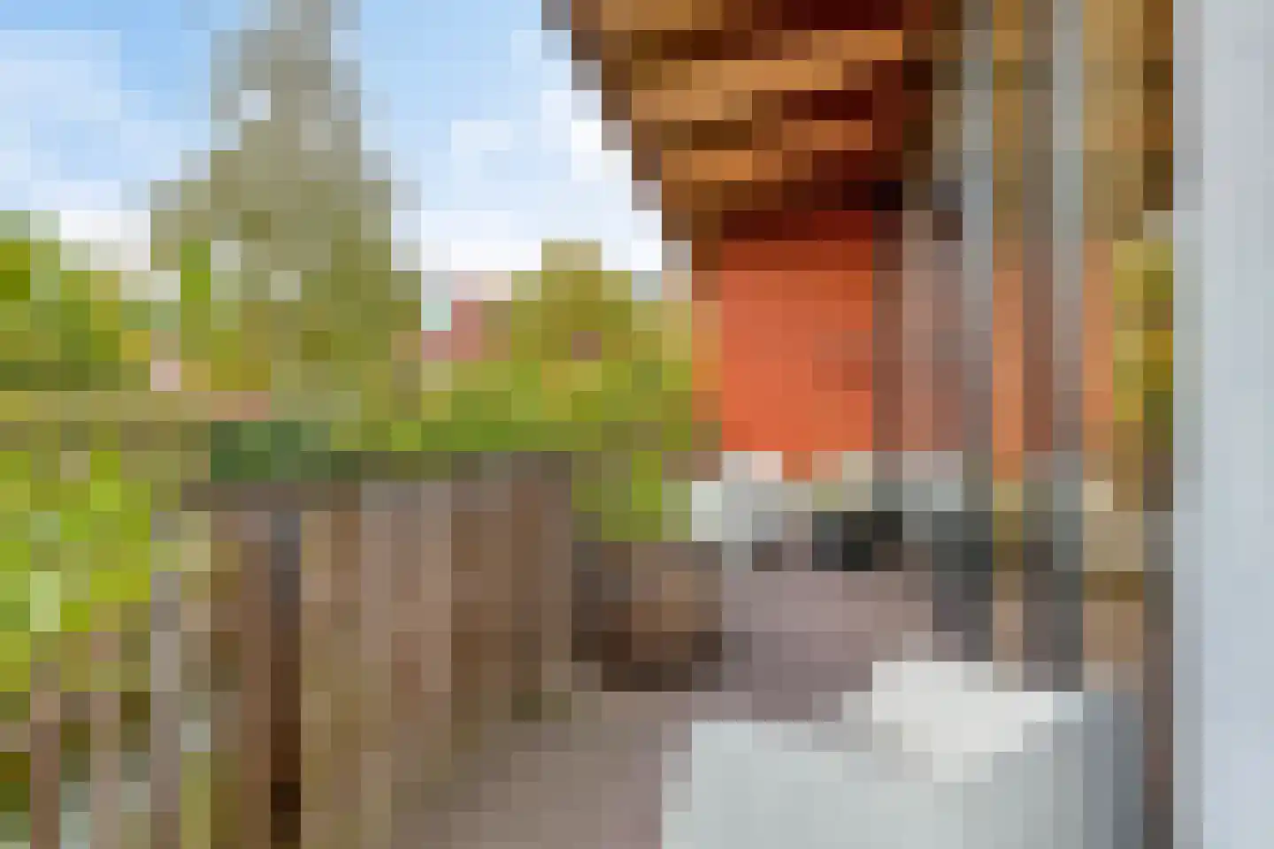 Grashegge 2 Eindhoven thumbnail 39
