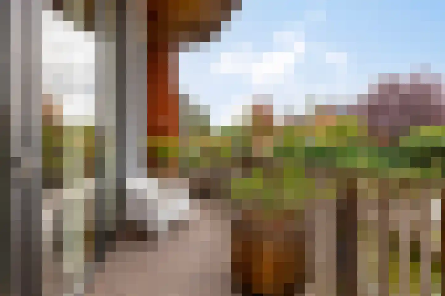 Grashegge 2 Eindhoven thumbnail 40