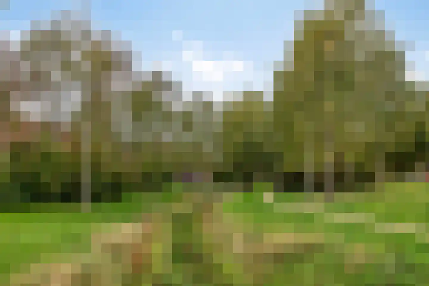 Grashegge 2 Eindhoven thumbnail 44