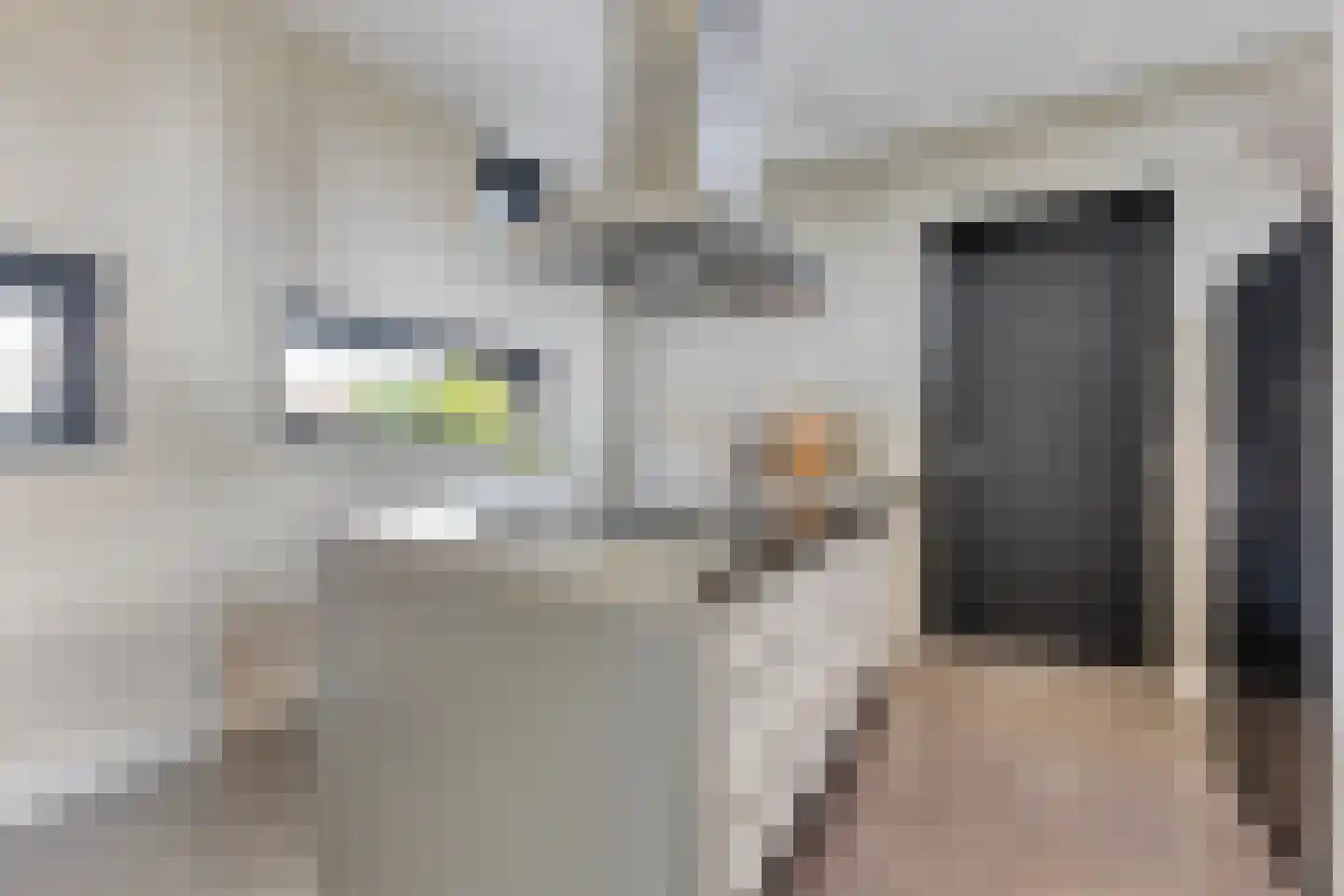 Grashegge 2 Eindhoven thumbnail 8