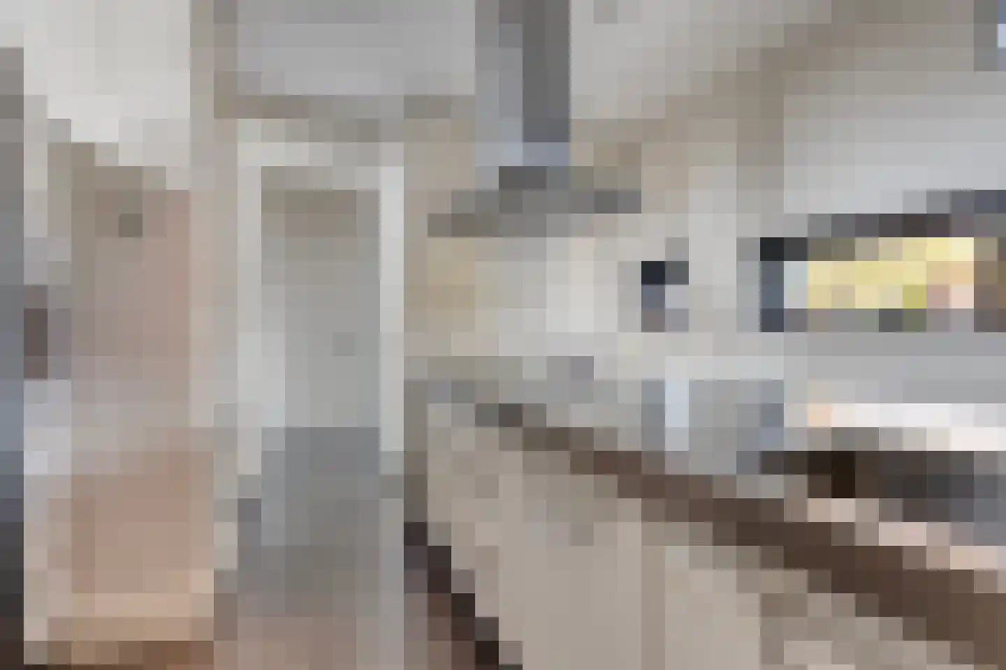 Grashegge 2 Eindhoven thumbnail 9