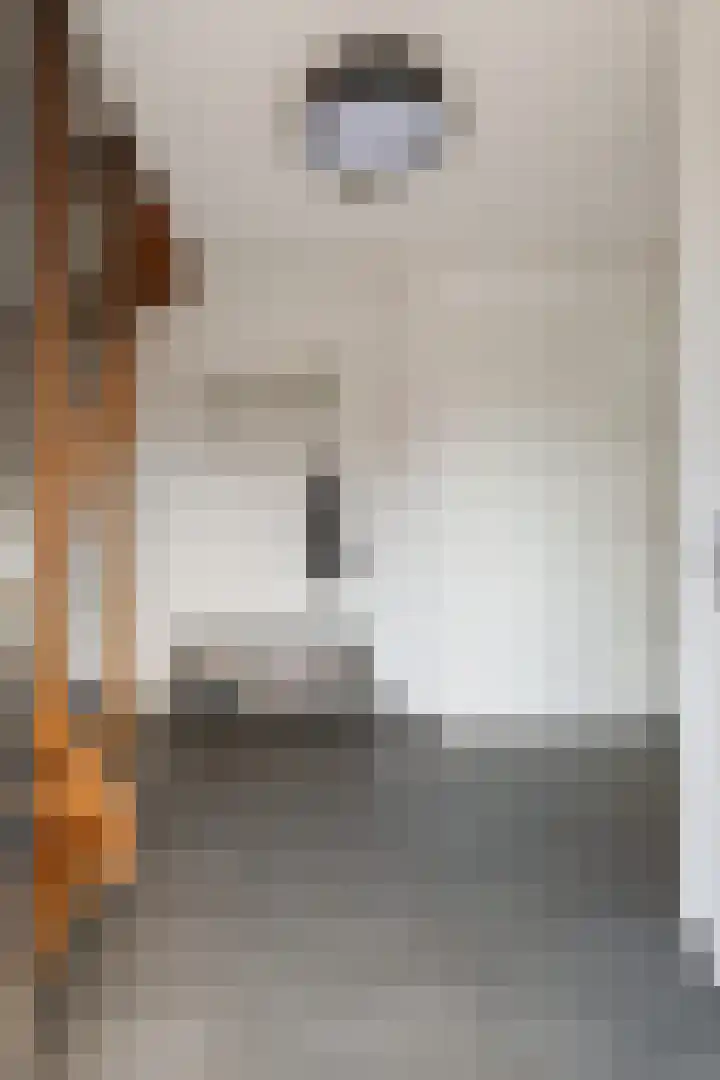 Grashegge 6 Eindhoven thumbnail 12