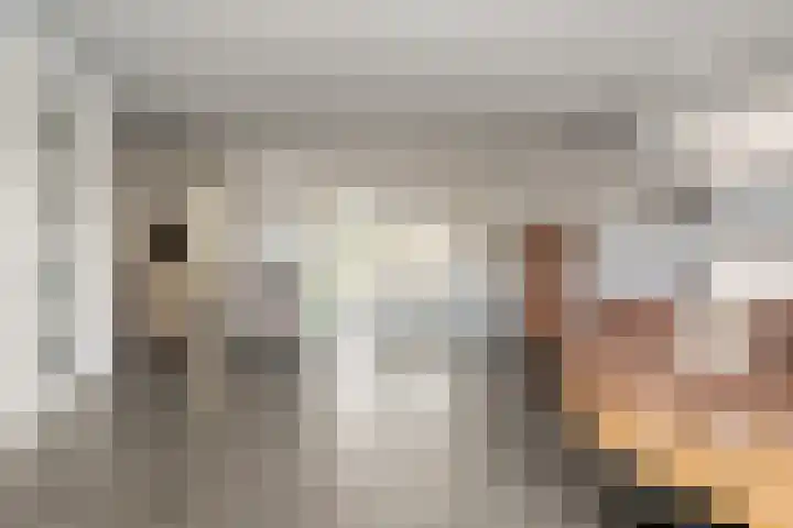 Grashegge 6 Eindhoven thumbnail 15