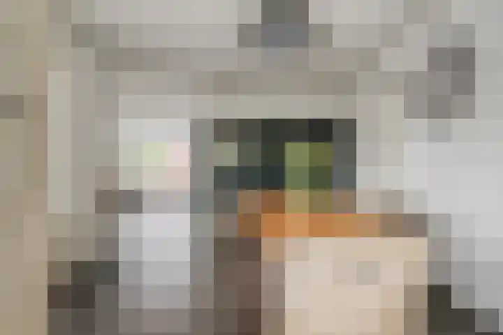 Grashegge 6 Eindhoven thumbnail 20