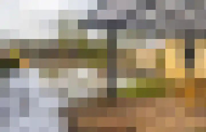 Grashegge 6 Eindhoven thumbnail 21